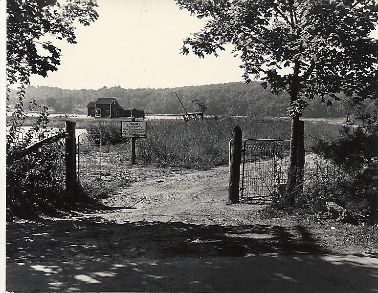 Eagle Dock Beach Photos